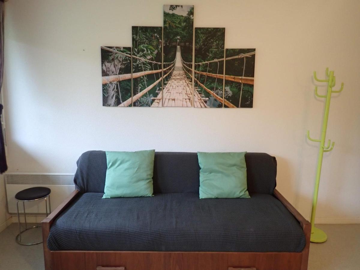 Appartements Du Pic D'Anie アレット エクステリア 写真