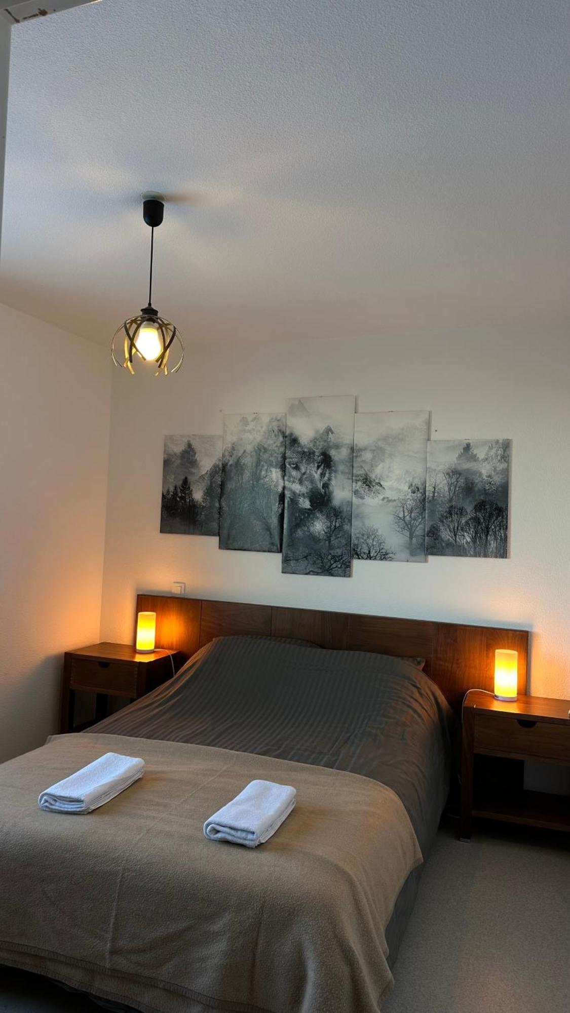 Appartements Du Pic D'Anie アレット エクステリア 写真