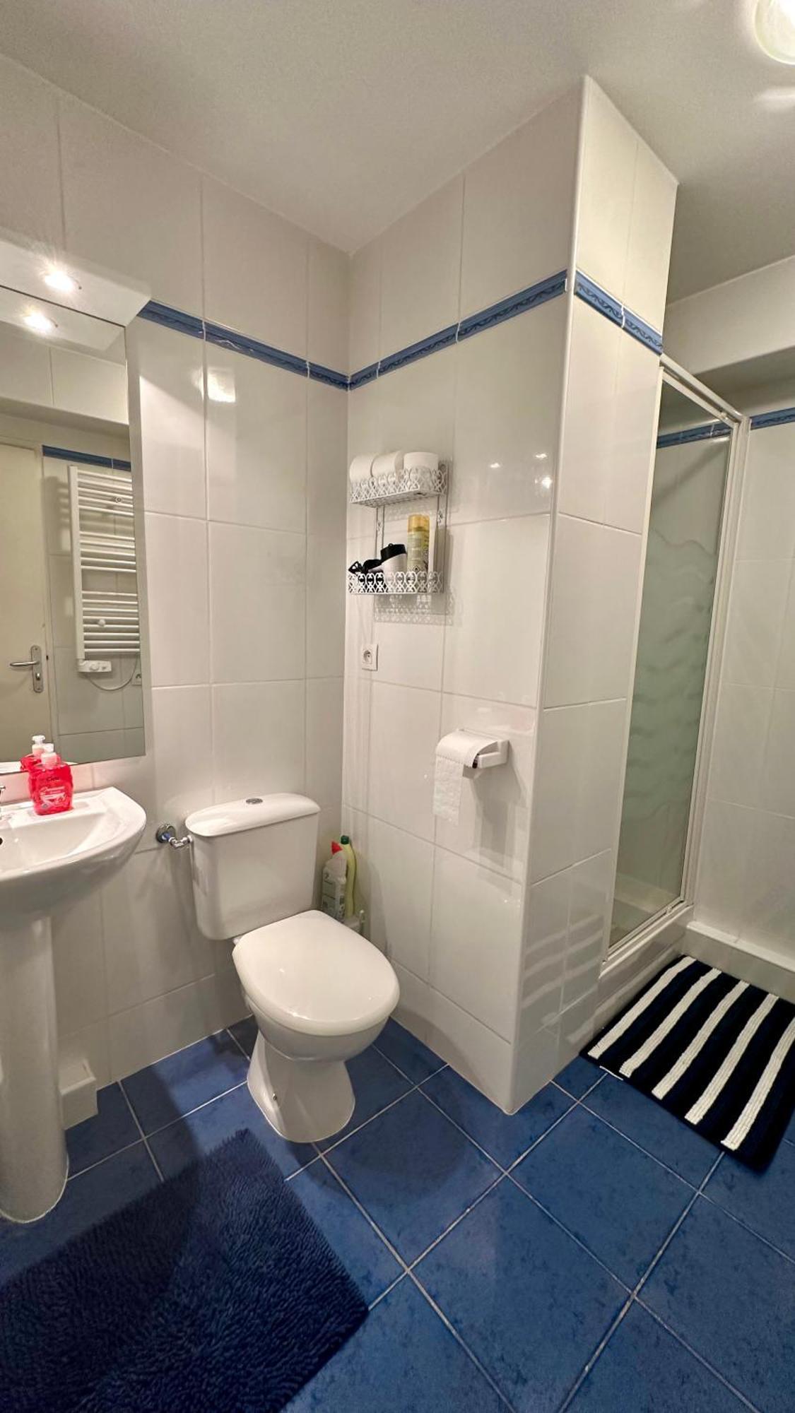Appartements Du Pic D'Anie アレット エクステリア 写真