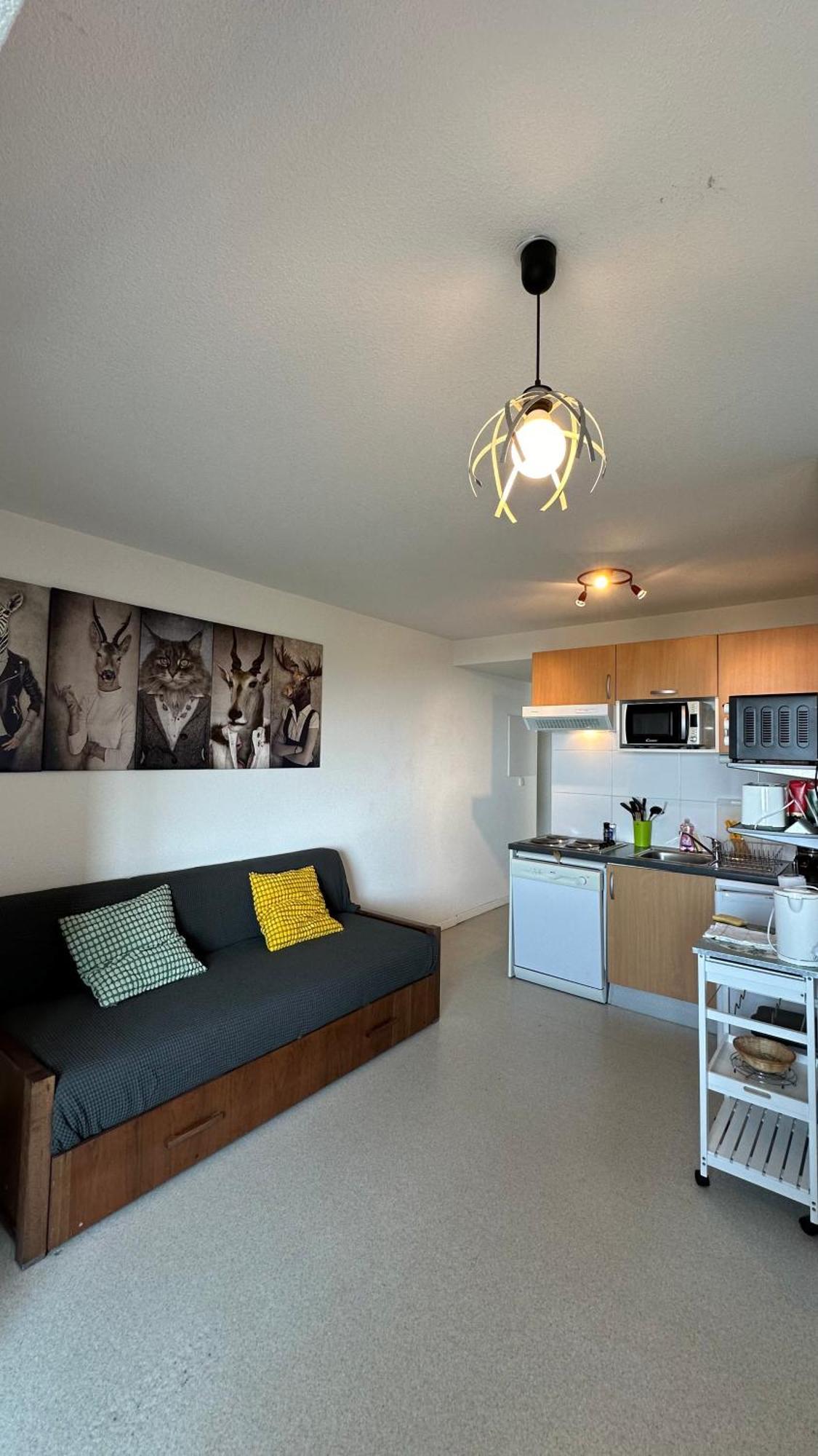 Appartements Du Pic D'Anie アレット エクステリア 写真